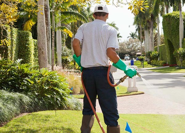 About Kingwood TX Pest Control Pros